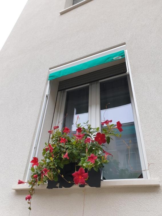 카스테나소 A Casa Di Elsa 아파트 외부 사진